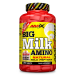 AmixPro Big Milk Amino 250tbl